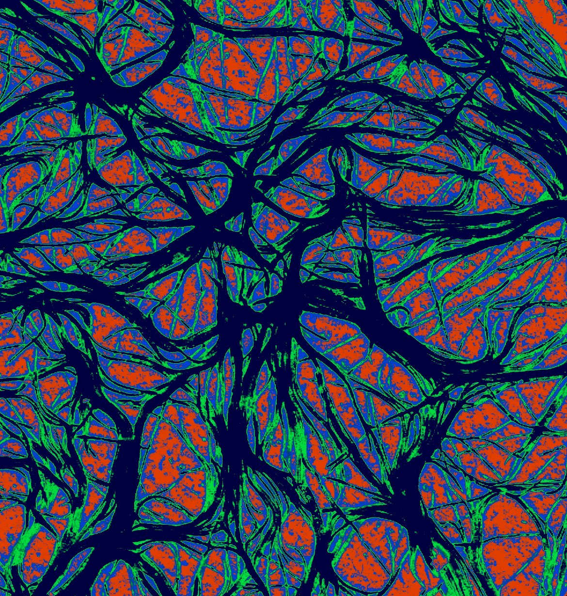 A tangle of roots over color-corrected to look like something out of a punk music video. It's a still image, but the high contrast creates the optical illusion that it's moving.